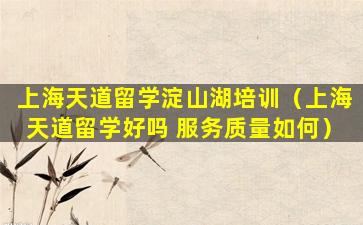 上海天道留学淀山湖培训（上海天道留学好吗 服务质量如何）